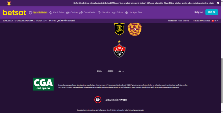 Betsat Slot Sağlayıcıları